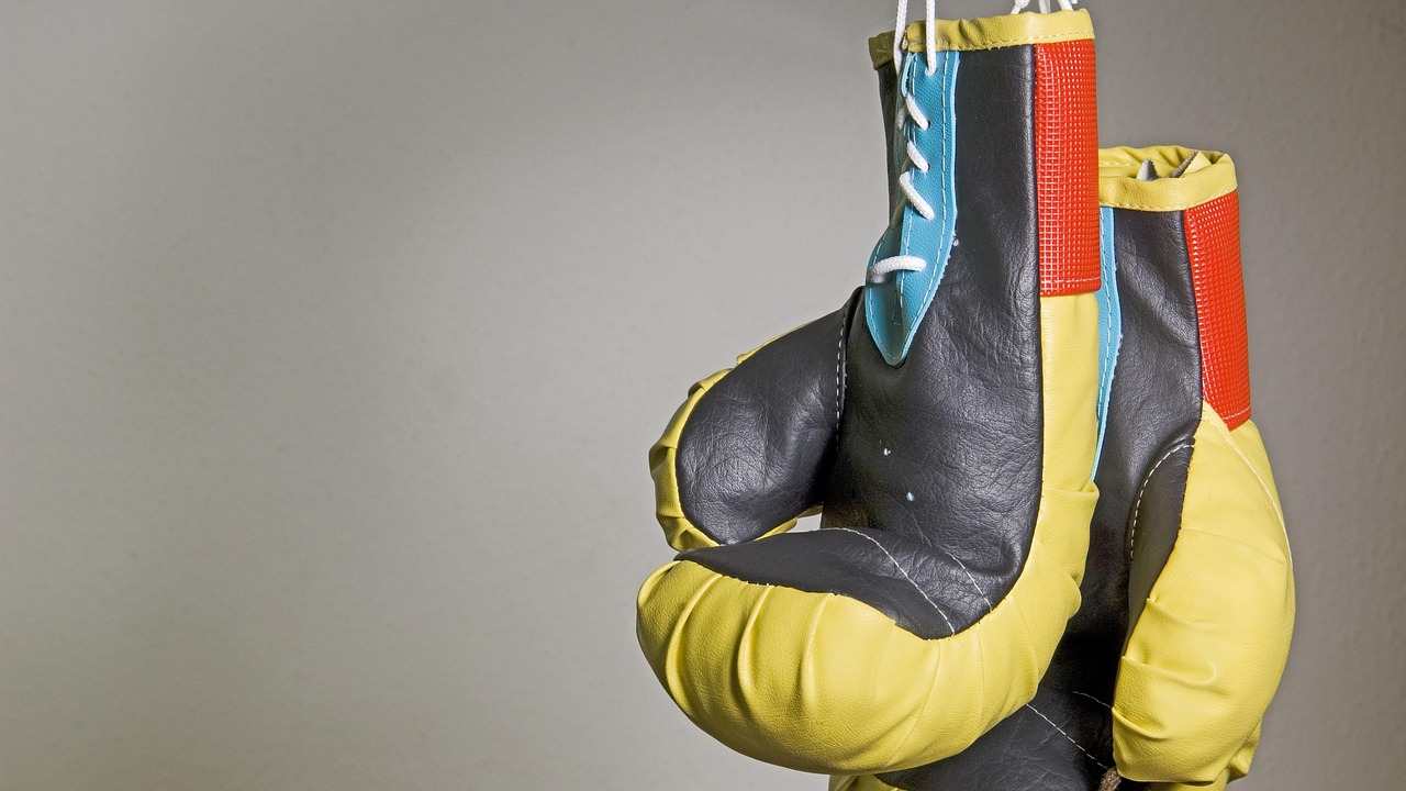 Guanti da boxe